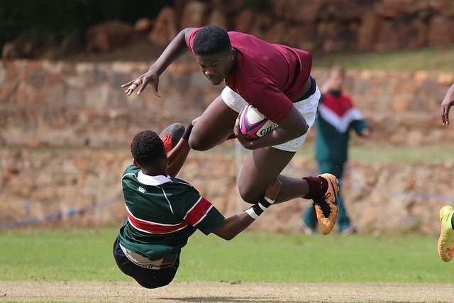 他极有可能 他极有可能